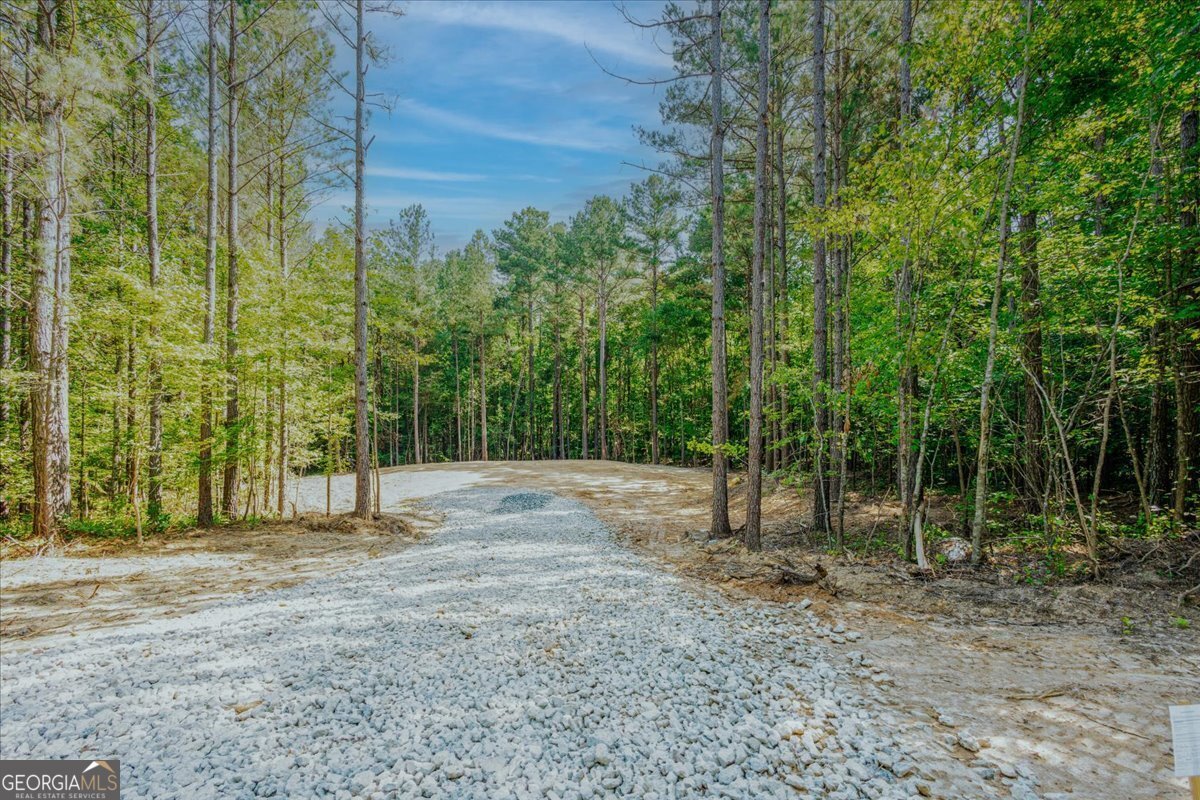 TRACT2 PLEASANT HILL Road Rockmart - Photo 37