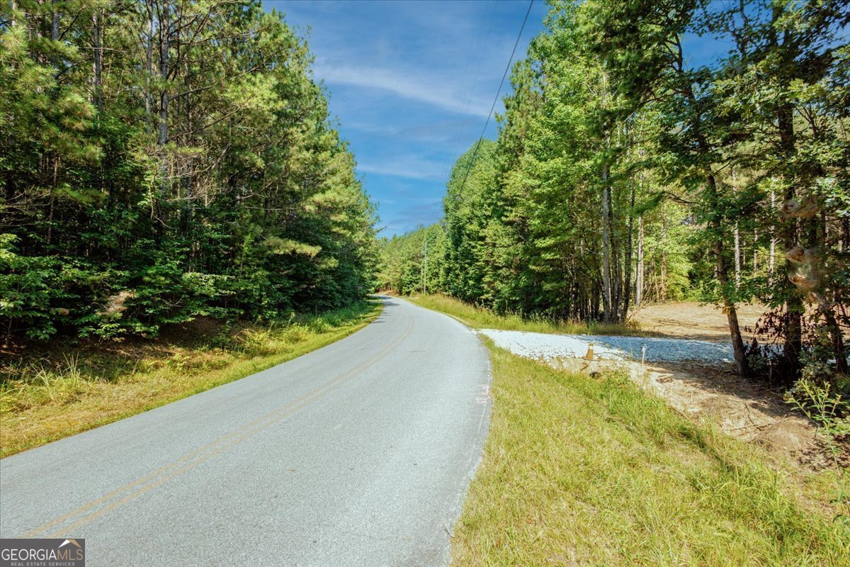 TRACT2 PLEASANT HILL Road Rockmart - Photo 38
