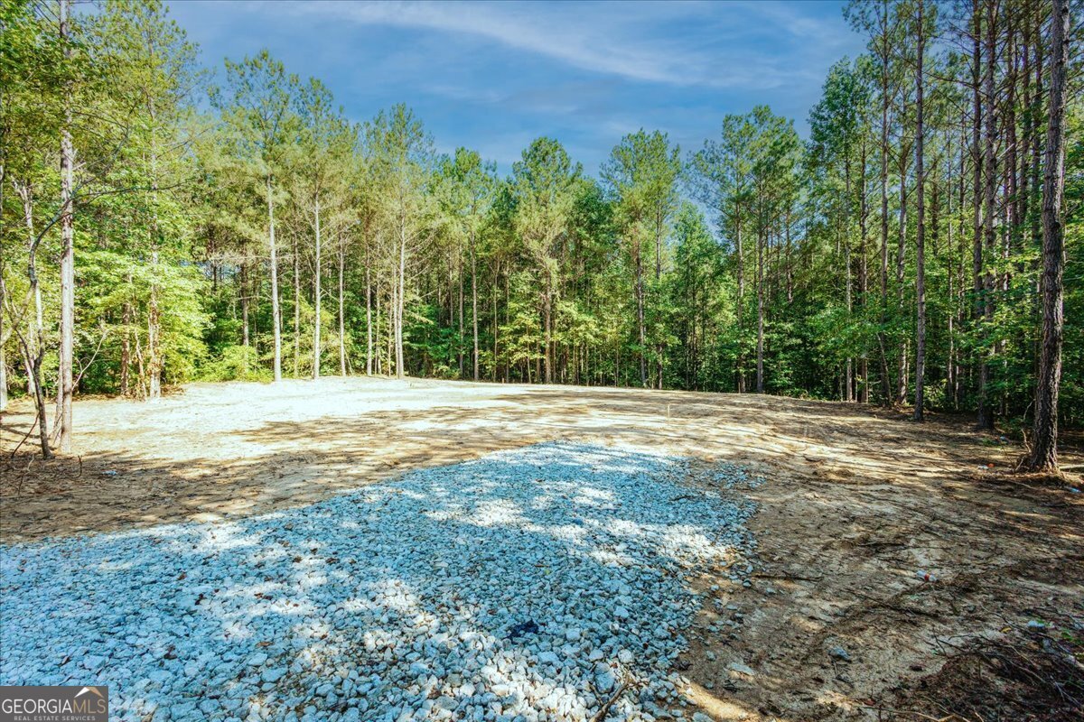 TRACT2 PLEASANT HILL Road Rockmart - Photo 39
