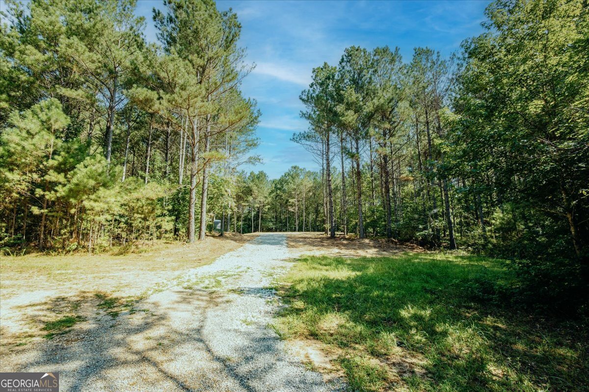 TRACT2 PLEASANT HILL Road Rockmart - Photo 41
