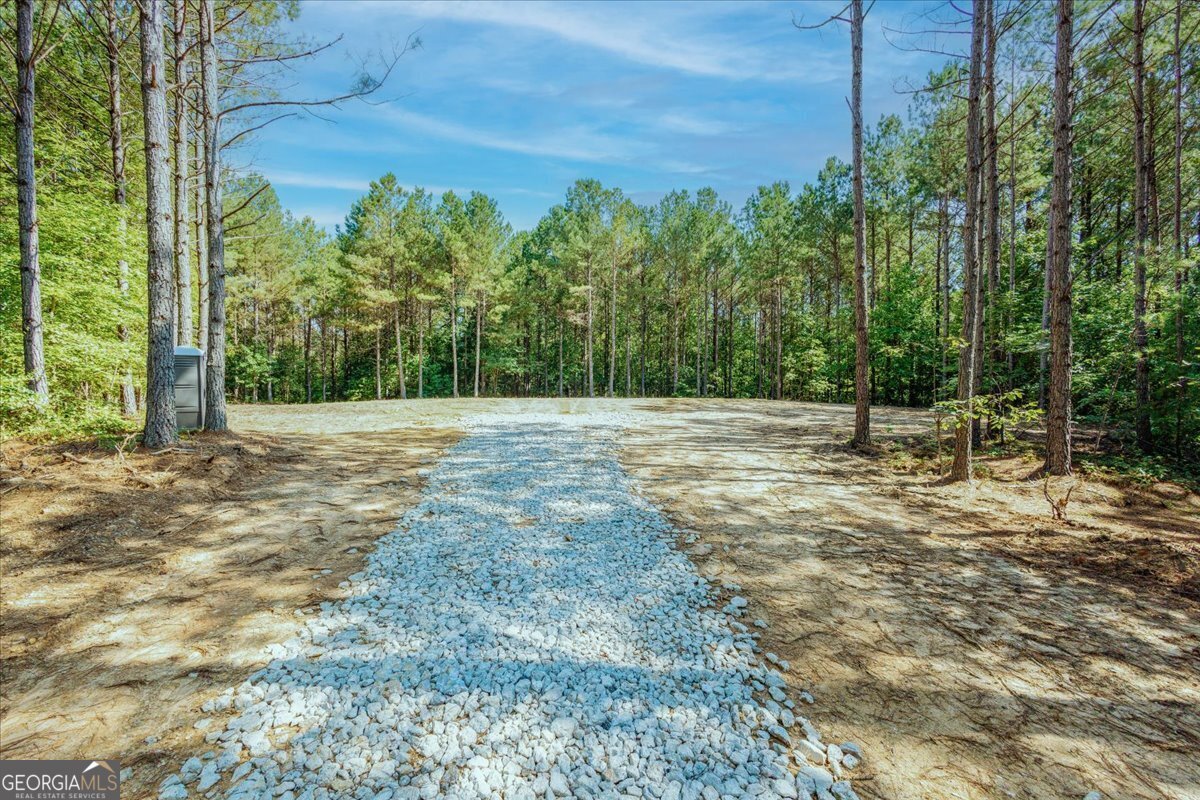 TRACT2 PLEASANT HILL Road Rockmart - Photo 42