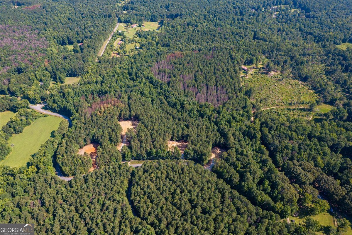 TRACT2 PLEASANT HILL Road Rockmart - Photo 43