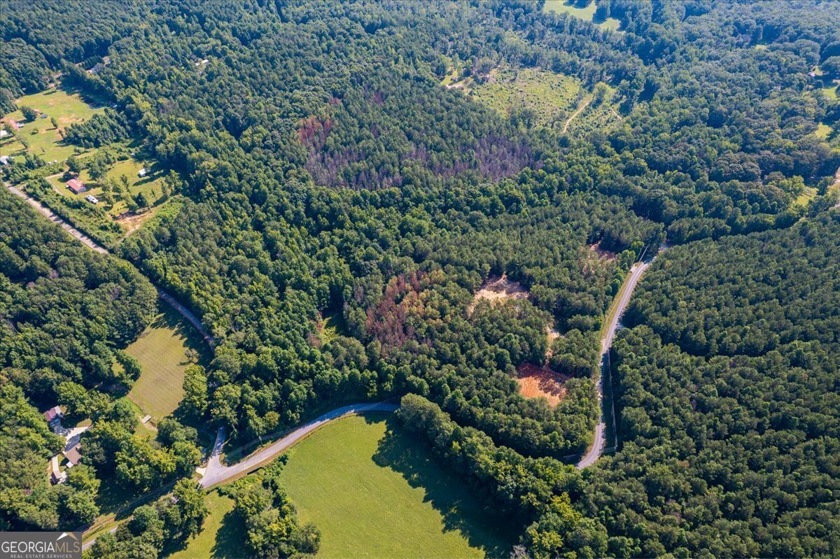 TRACT2 PLEASANT HILL Road Rockmart - Photo 46