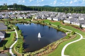 21 Lantern Trace Hiram - Photo 48