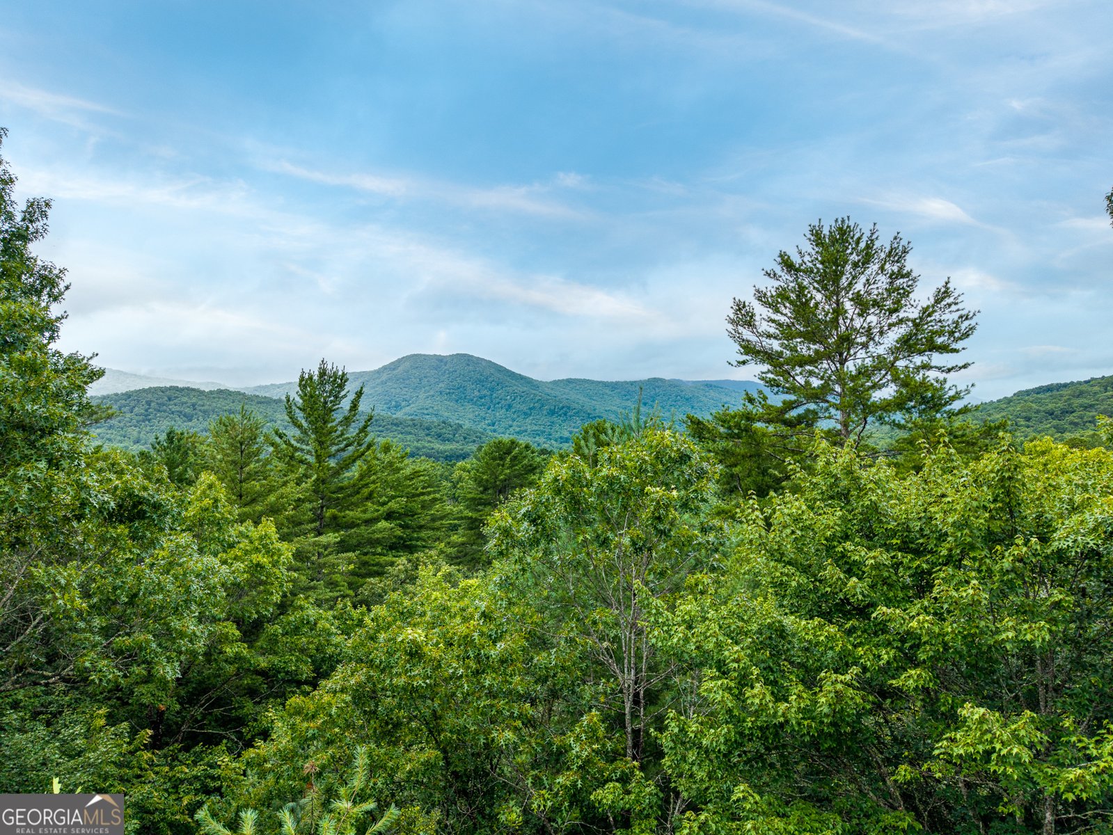 51 Hightower Trail Hiawassee - Photo 10