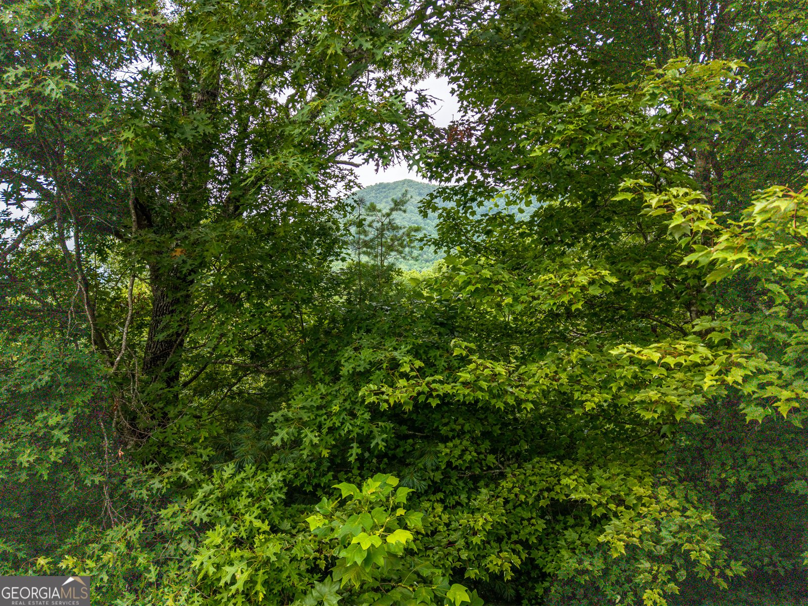 51 Hightower Trail Hiawassee - Photo 11