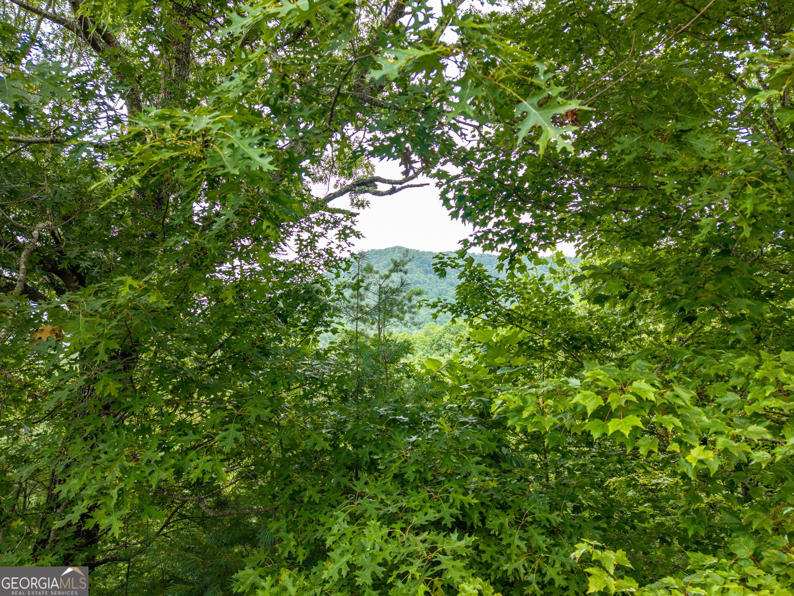 51 Hightower Trail Hiawassee - Photo 12