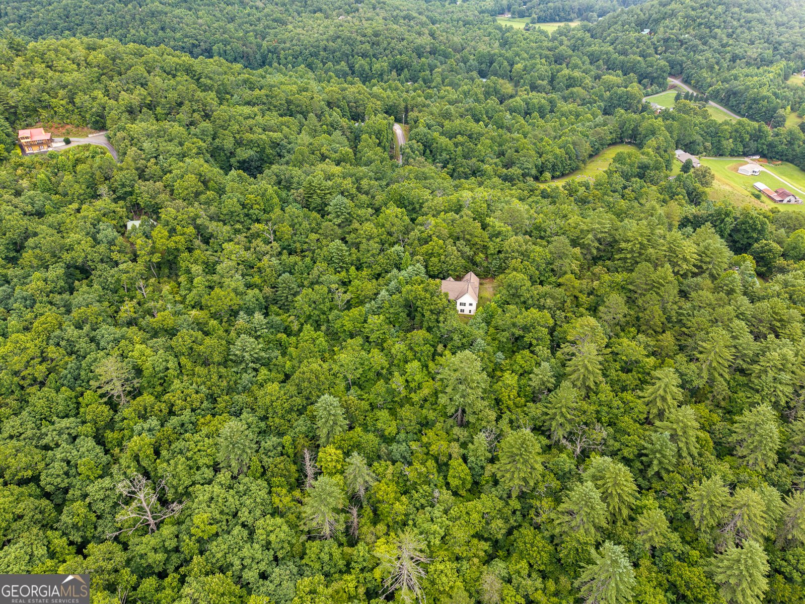 51 Hightower Trail Hiawassee - Photo 16