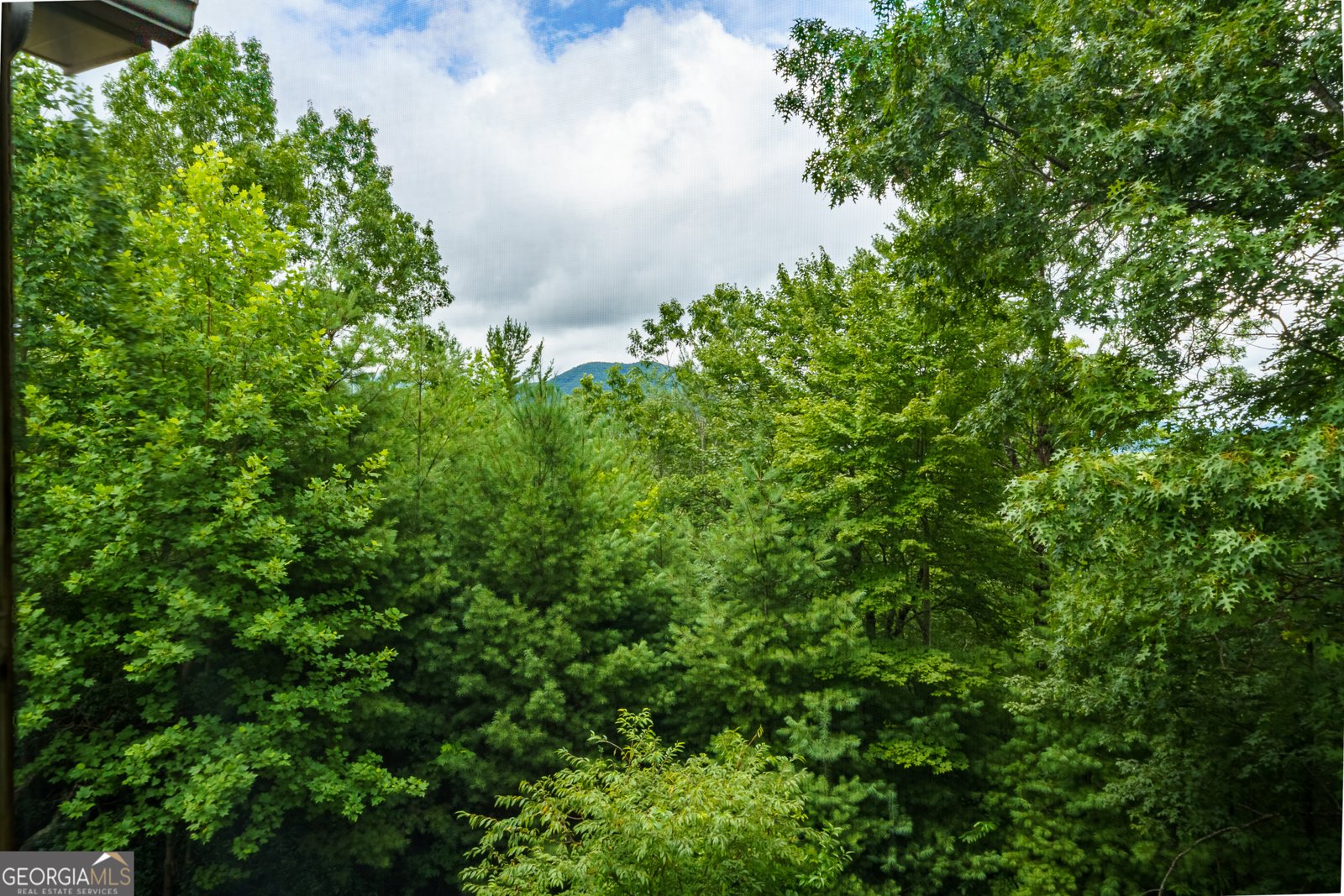 51 Hightower Trail Hiawassee - Photo 61
