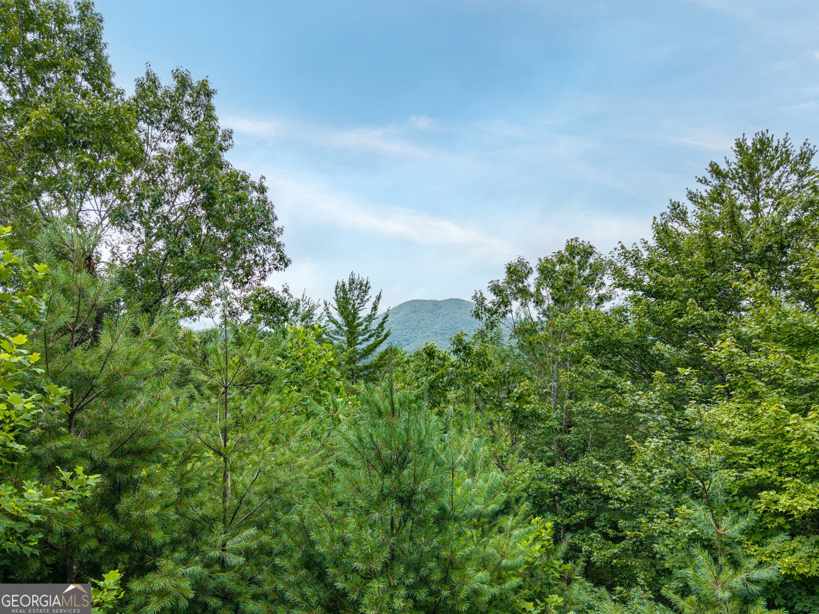 51 Hightower Trail Hiawassee - Photo 9