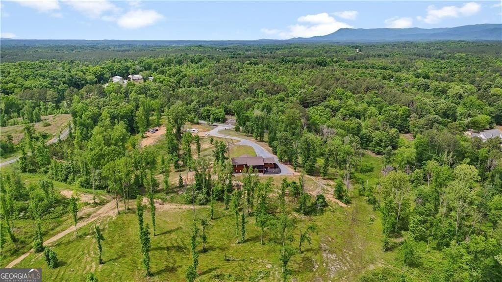 1581 Taylor Town Road Ranger - Photo 28