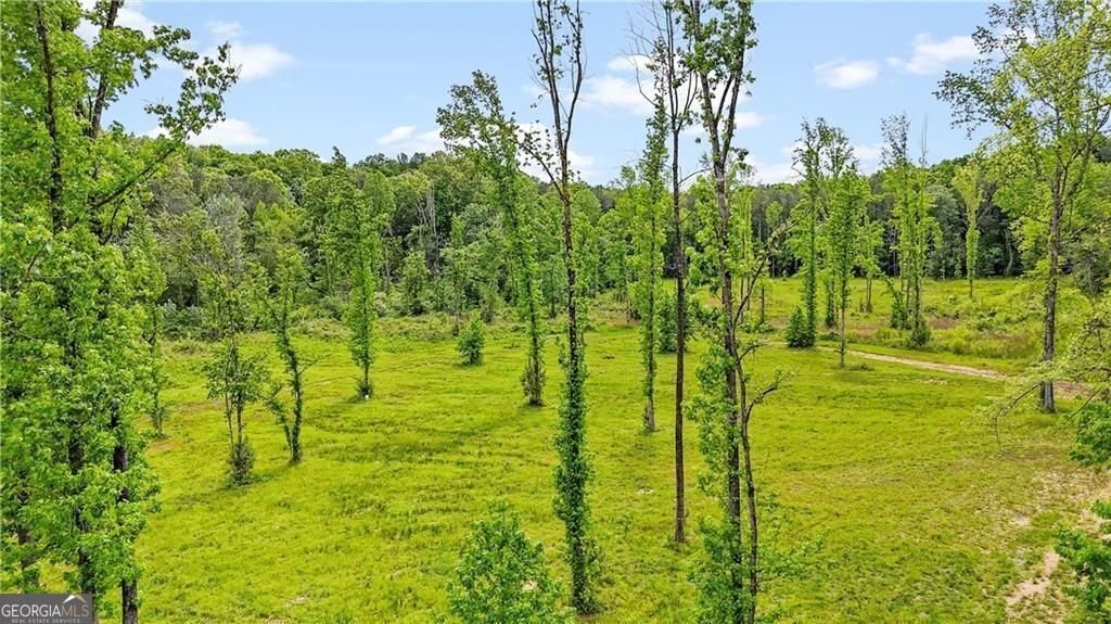 1581 Taylor Town Road Ranger - Photo 30