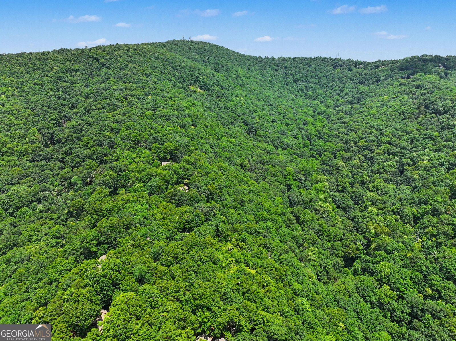 432 Huckleberry Trail Jasper - Photo 58