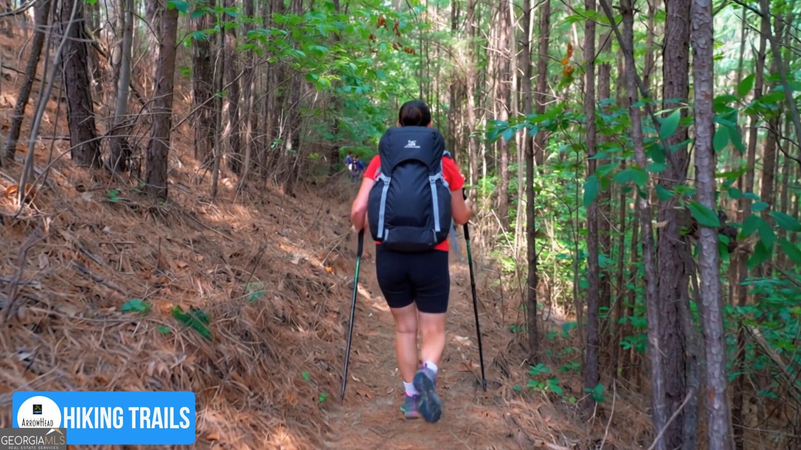 100 Cherokee Cove Waleska - Photo 25