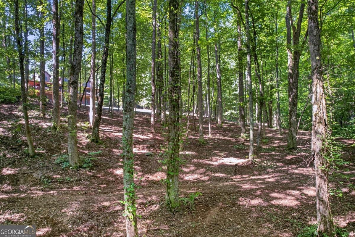 408 Mountain Creek Way Ellijay - Photo 13