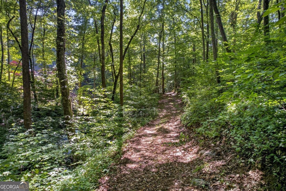 408 Mountain Creek Way Ellijay - Photo 14