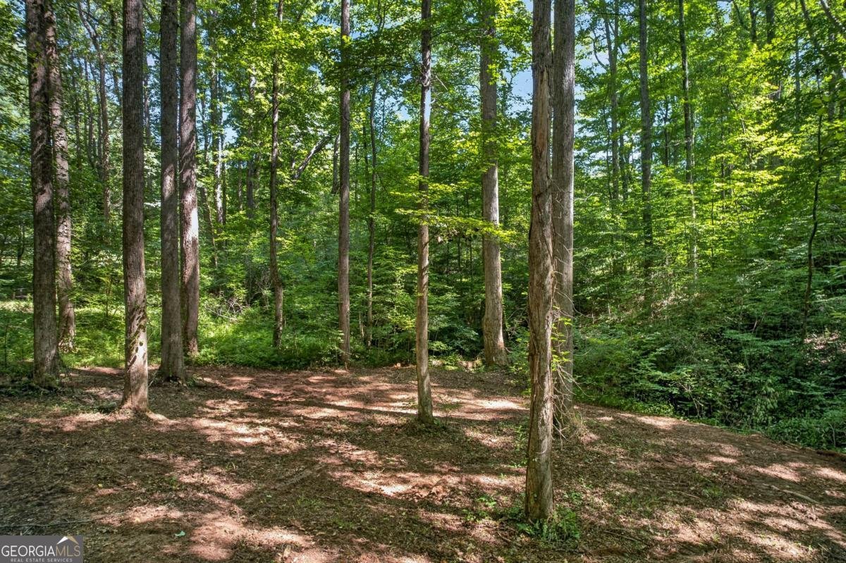 408 Mountain Creek Way Ellijay - Photo 18