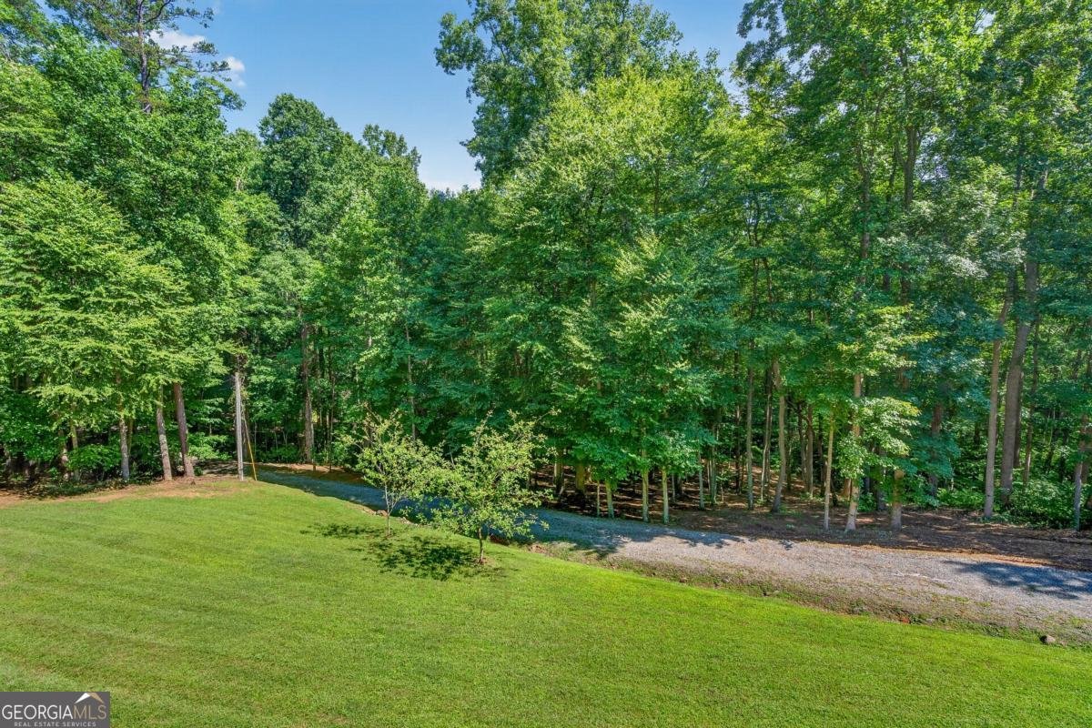408 Mountain Creek Way Ellijay - Photo 42