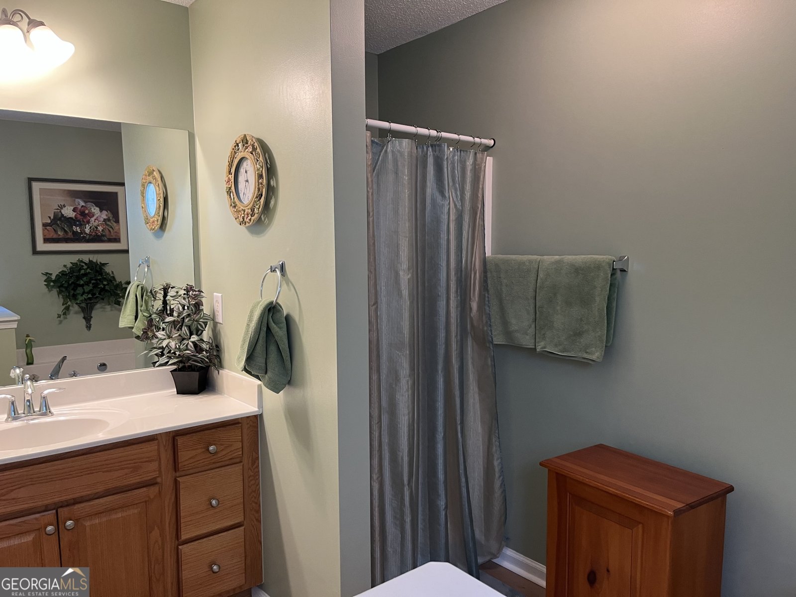 139 Laurel Creek Court Carrollton - Photo 11