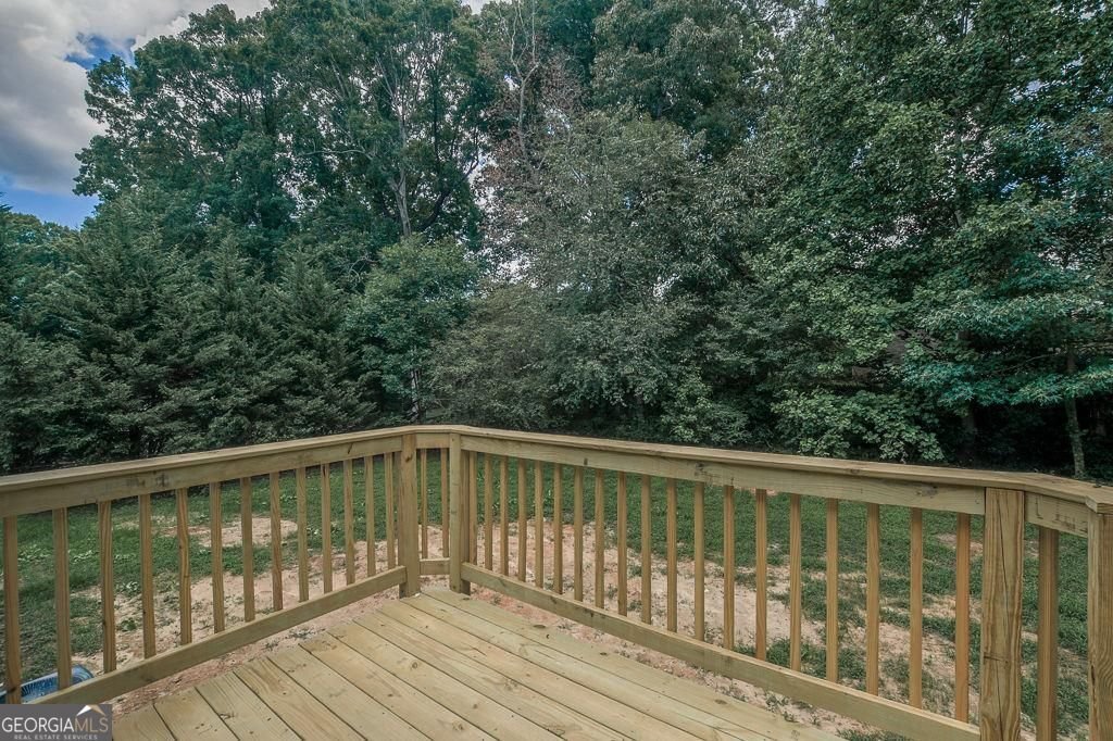 3420 Nina Court Douglasville - Photo 38