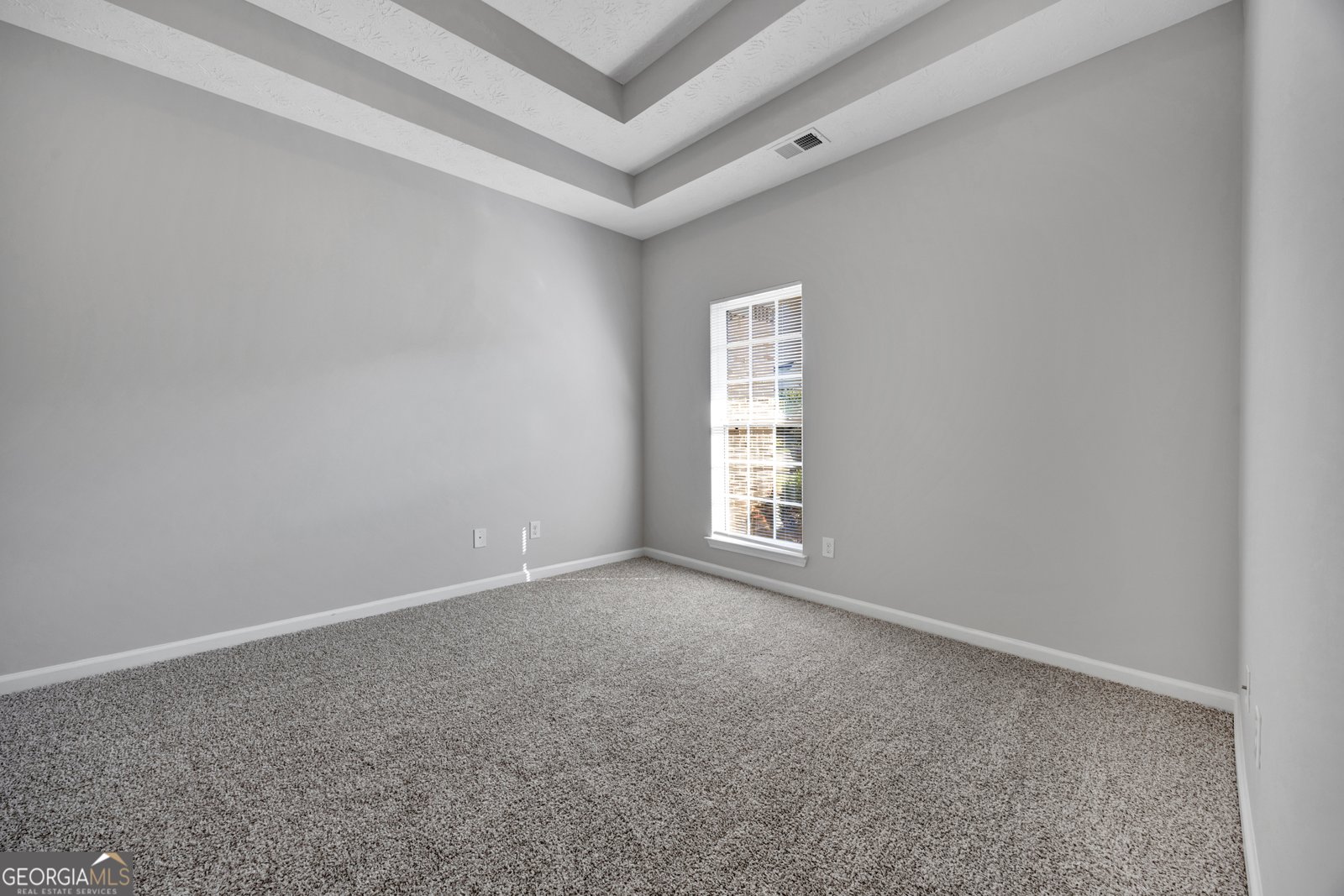 156 Colony Park Lane Locust Grove - Photo 23