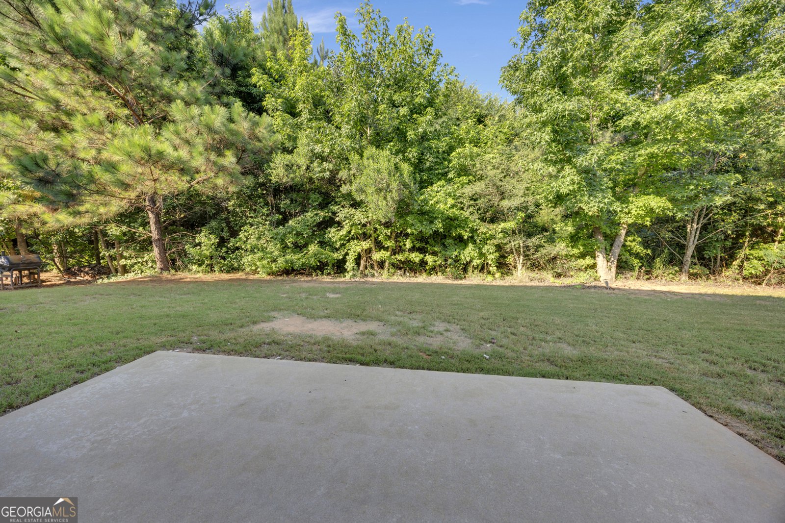 156 Colony Park Lane Locust Grove - Photo 28