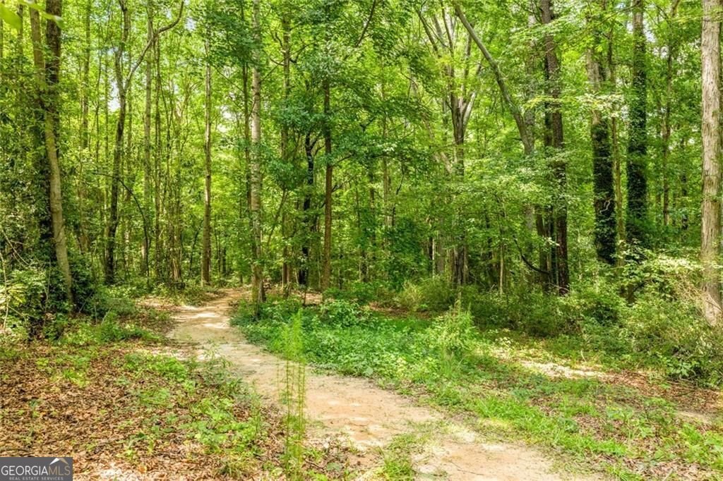 5925 Old Bill Cook Road Atlanta - Photo 58