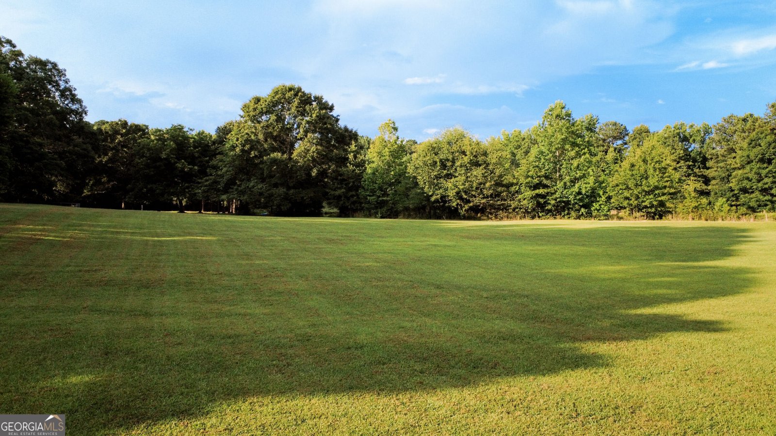 335 Robert Hardeman Road Winterville - Photo 46