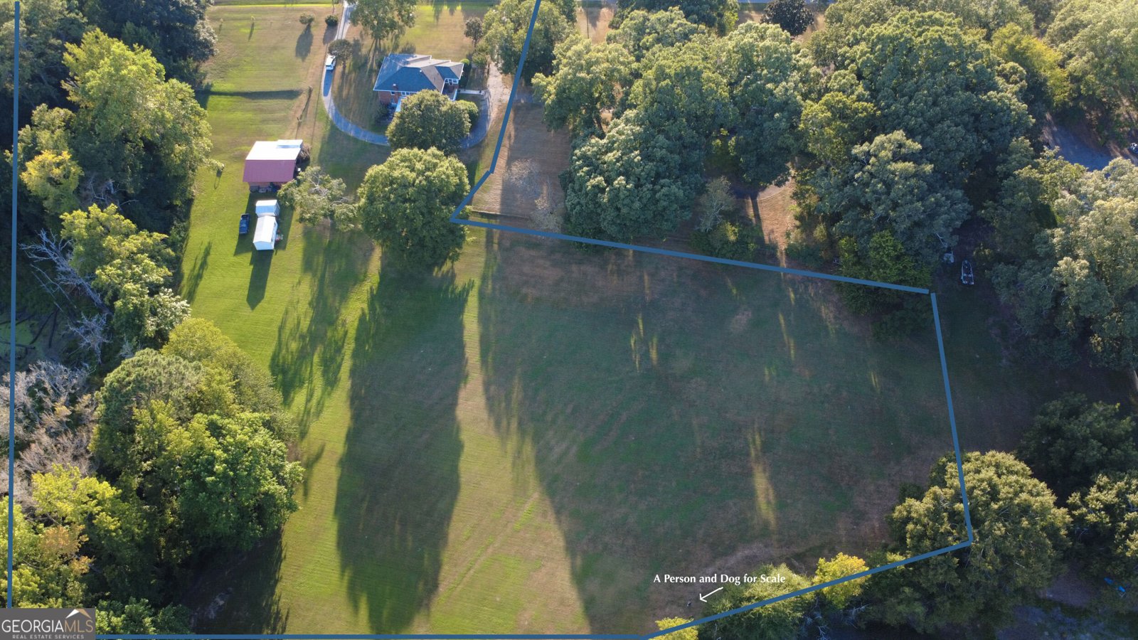335 Robert Hardeman Road Winterville - Photo 50