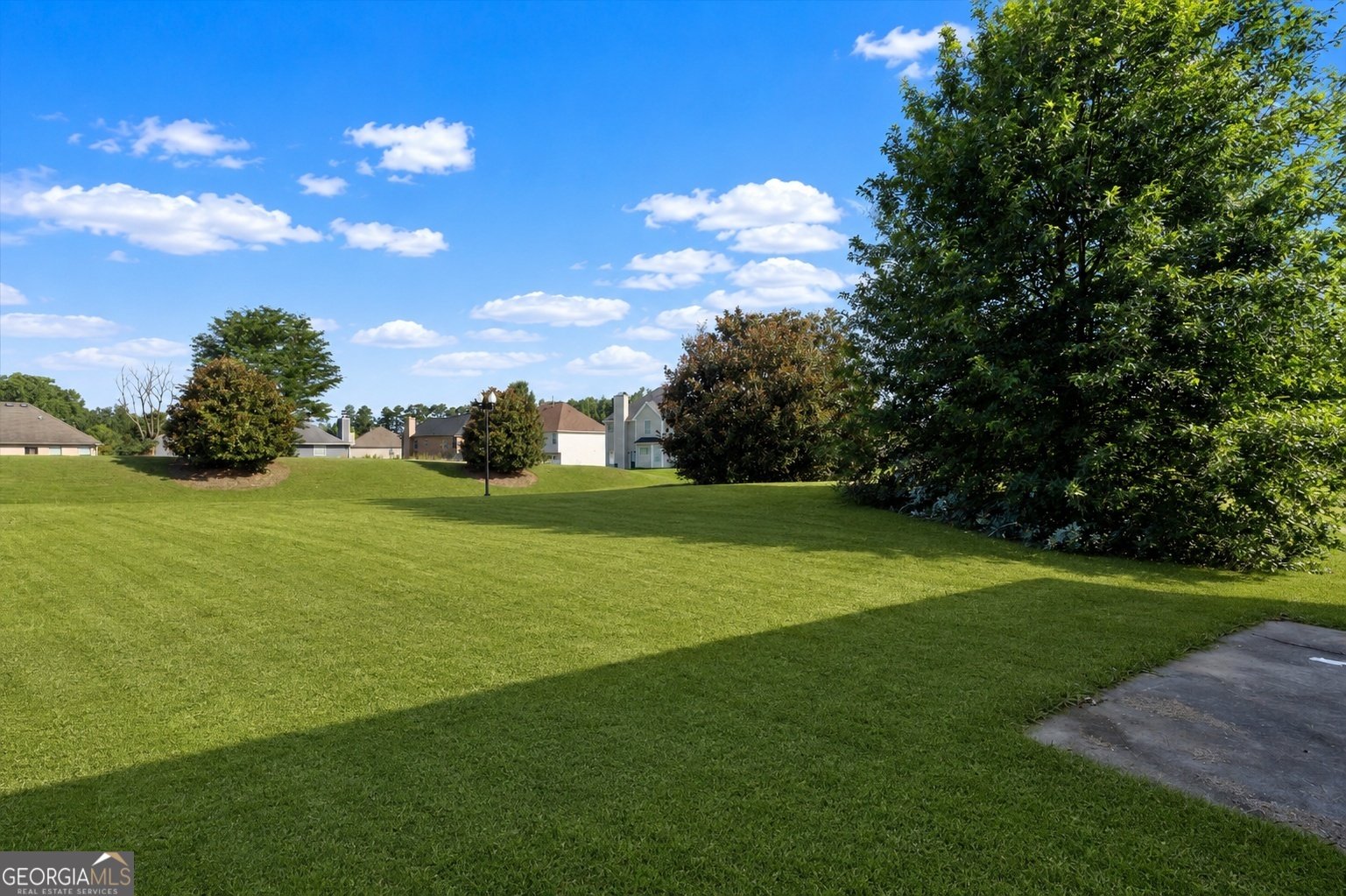 1537 Culpepper Lane Mcdonough - Photo 44