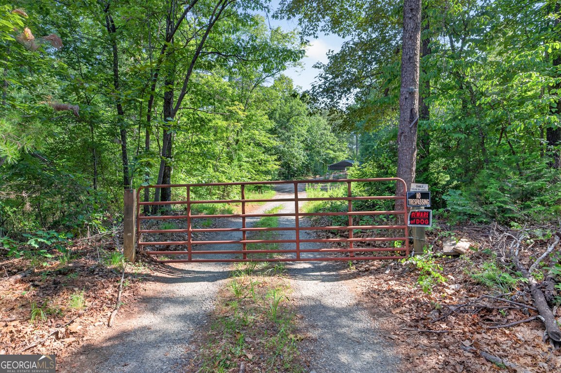 169 Rusty G Place Dawsonville - Photo 69