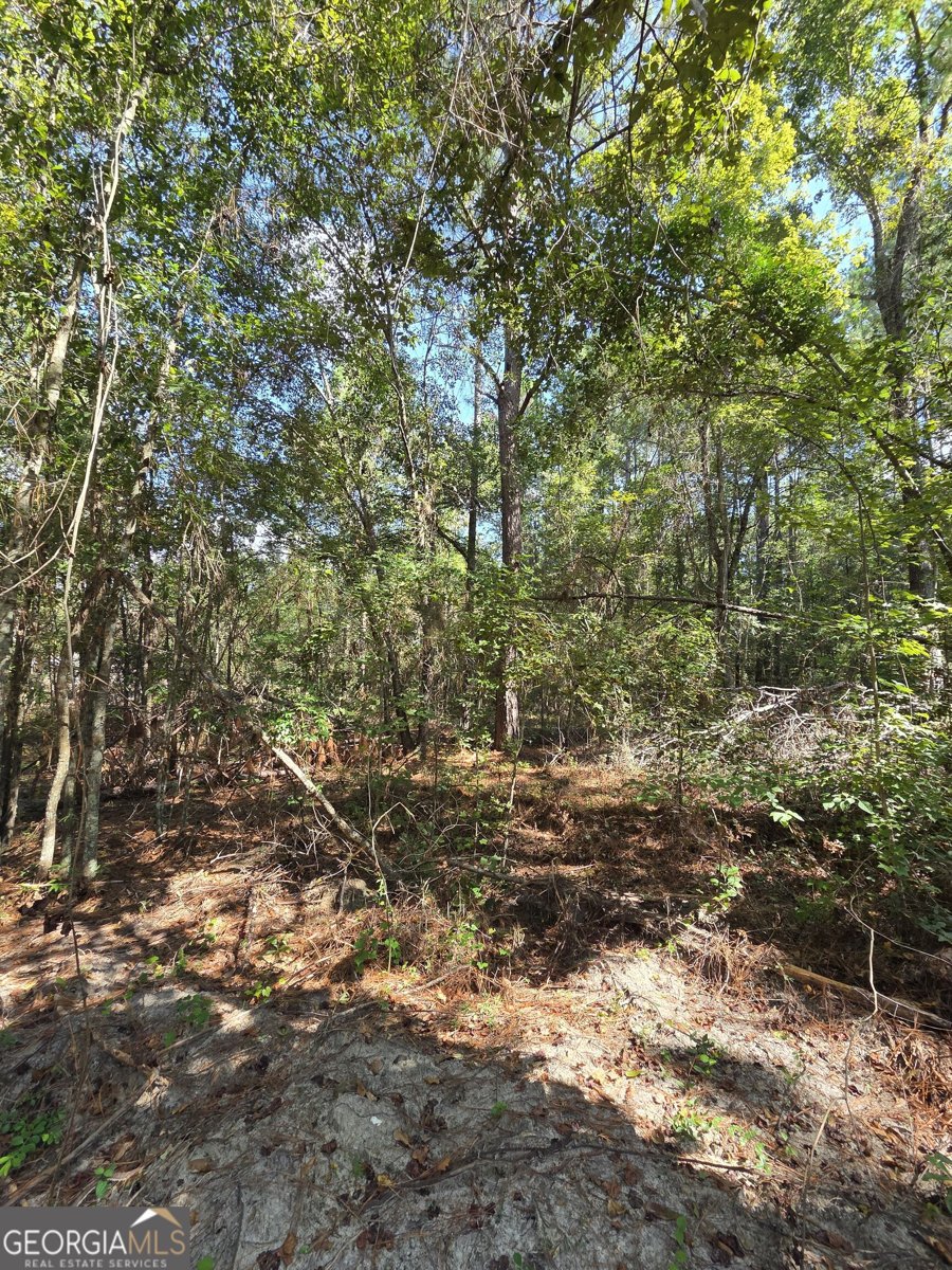 4605 Jackie Drive Millen - Photo 29