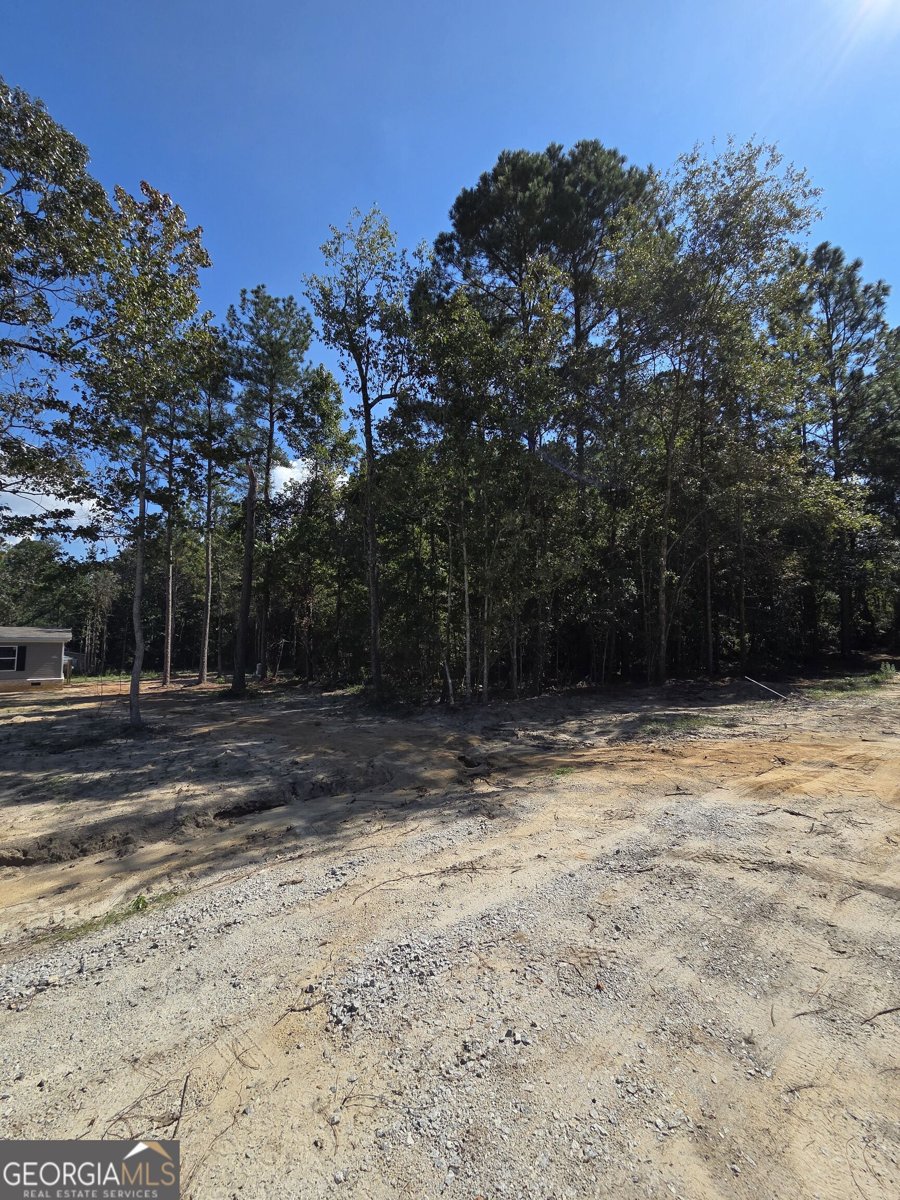 4605 Jackie Drive Millen - Photo 30