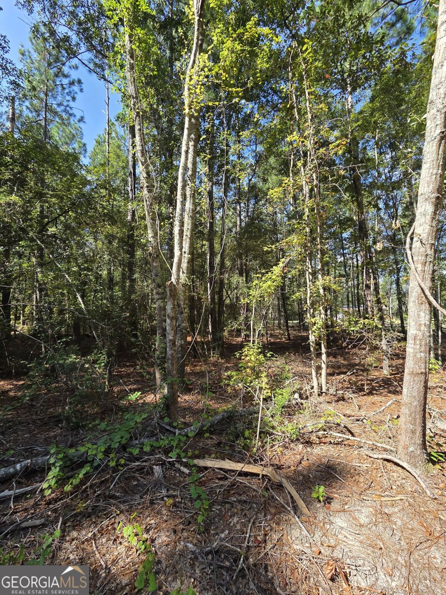 4606 Jackie Drive Millen - Photo 27