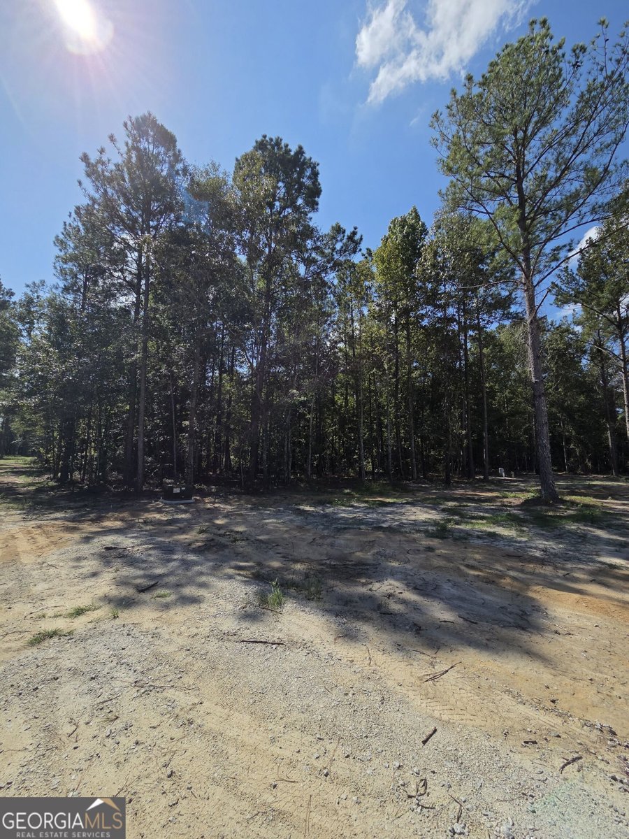 4606 Jackie Drive Millen - Photo 28