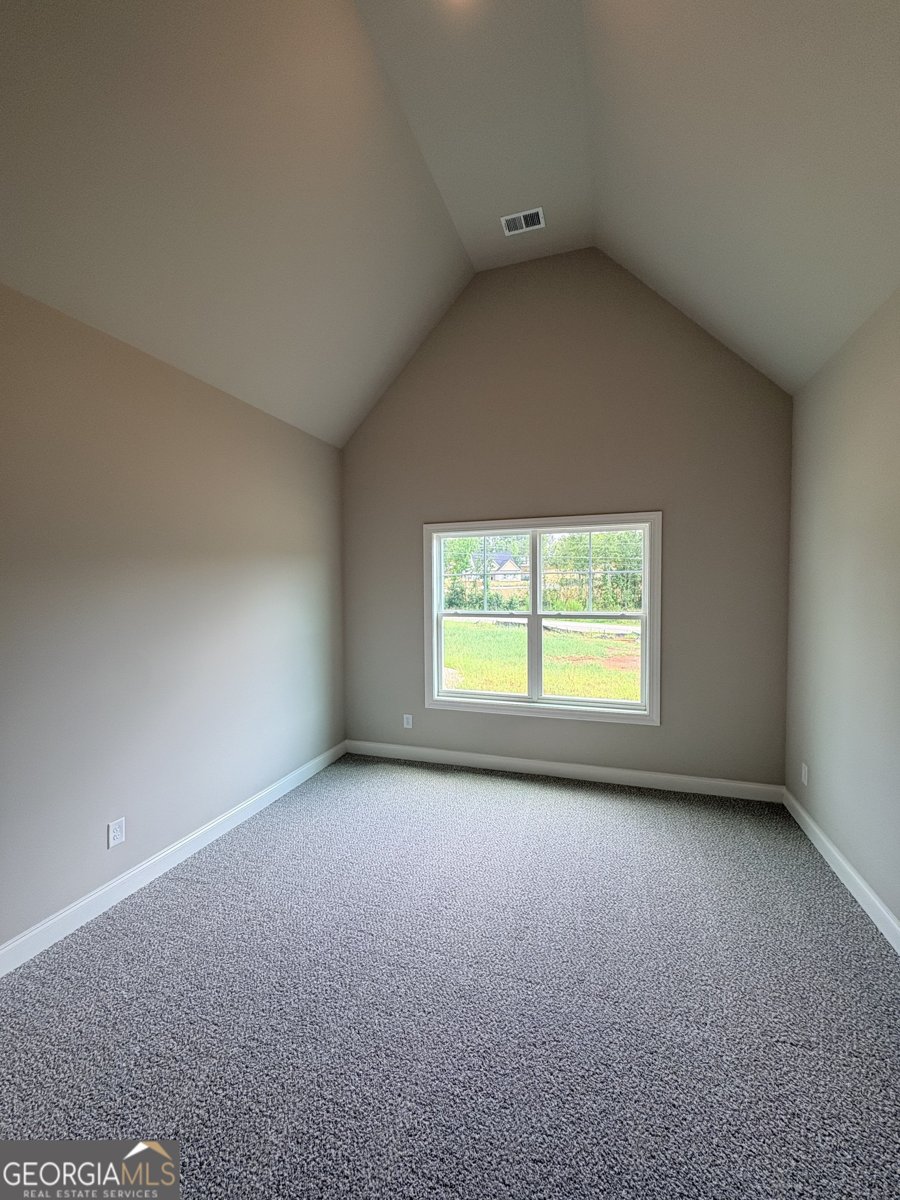 901 Stalling Road Senoia - Photo 21