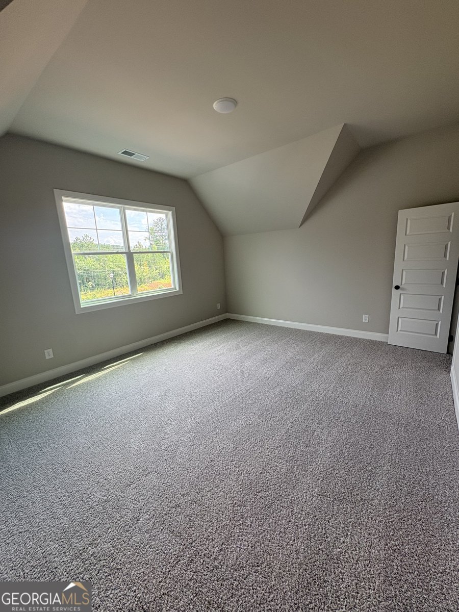 901 Stalling Road Senoia - Photo 24