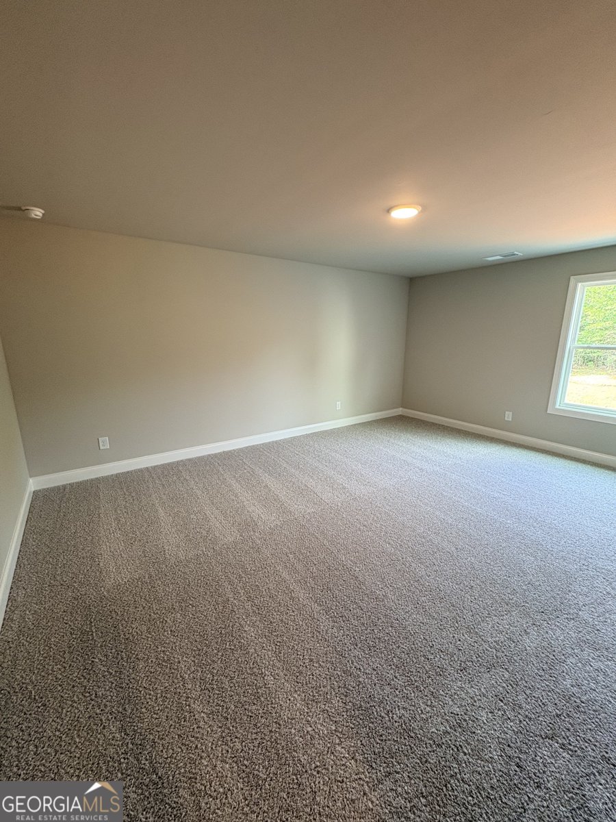 901 Stalling Road Senoia - Photo 32