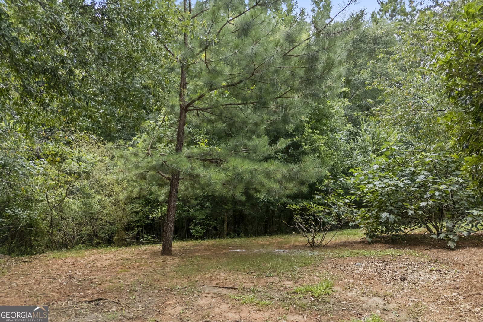 309 Briarwood Trail Winterville - Photo 10