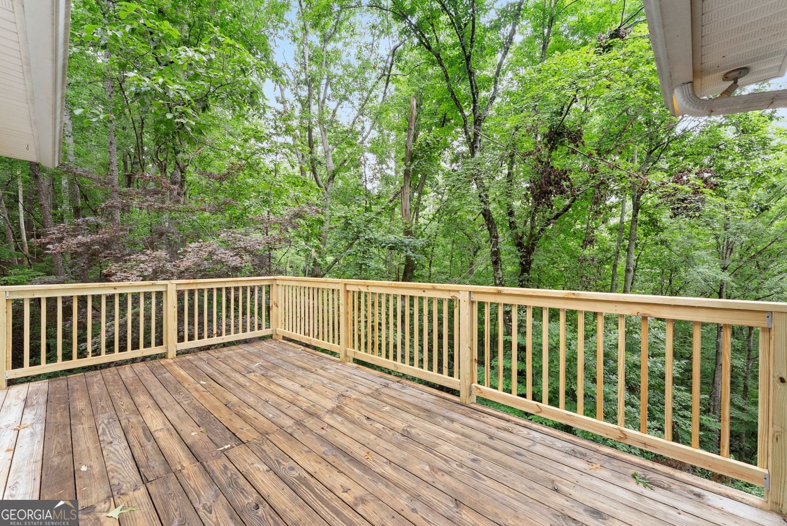 195 Golden Avenue Dahlonega - Photo 35