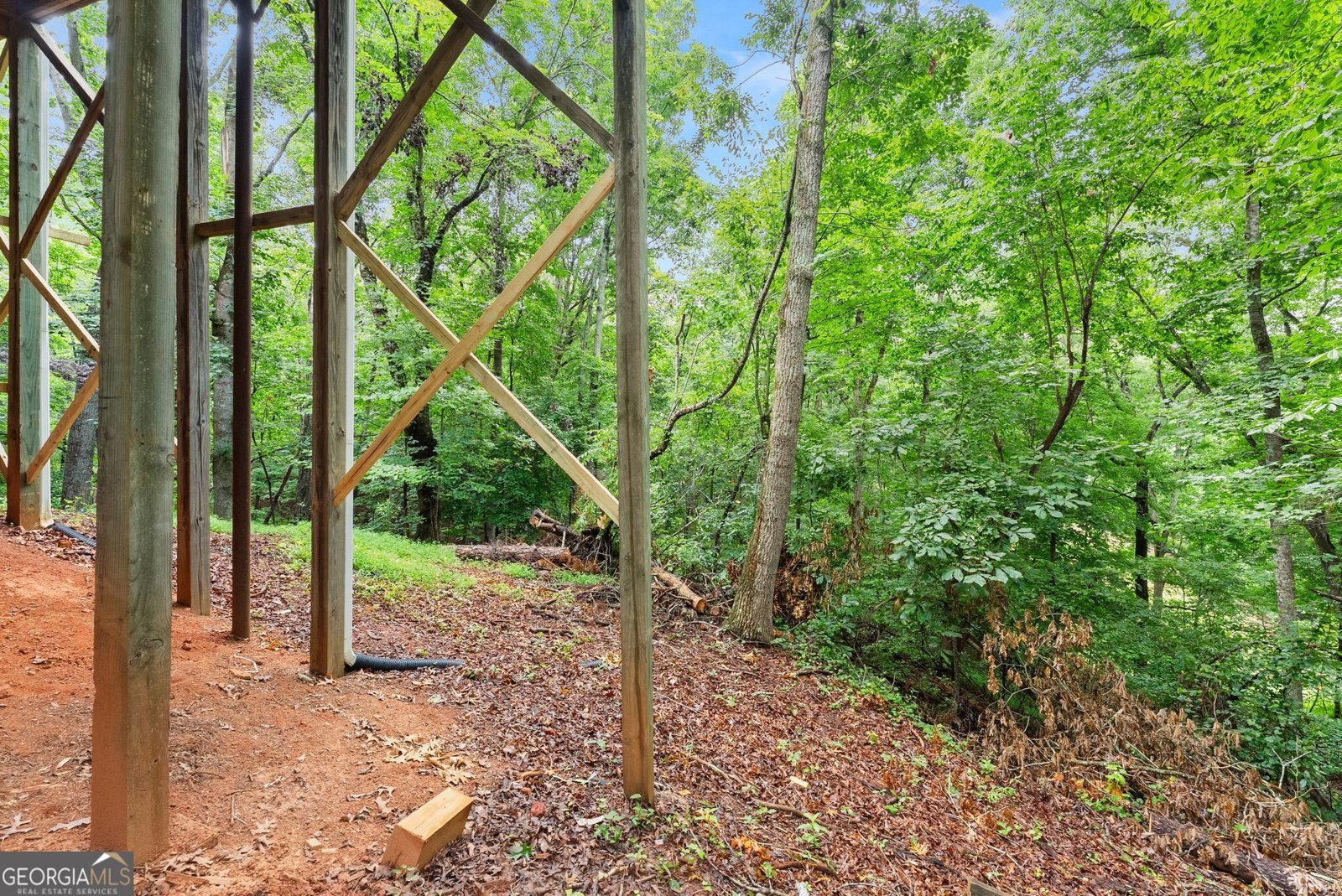 195 Golden Avenue Dahlonega - Photo 40