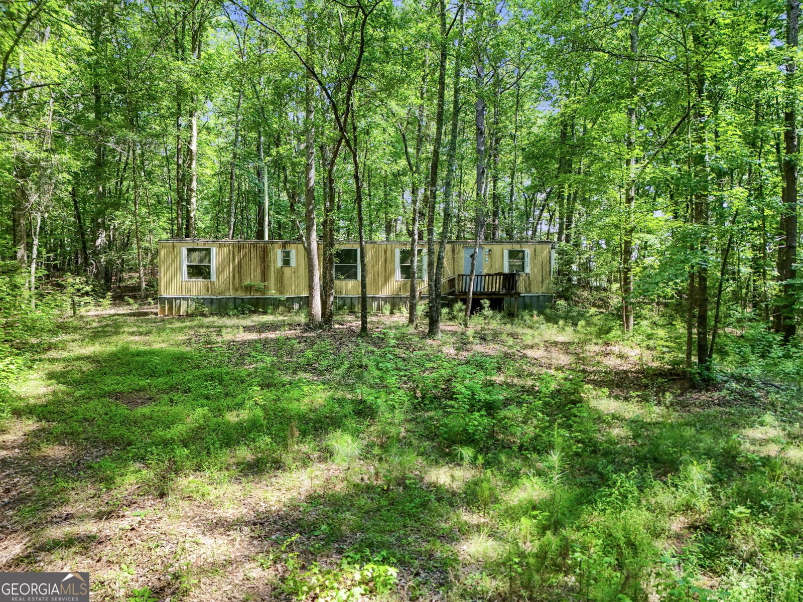 406 Summers McKoy Rd Road Newnan - Photo 30