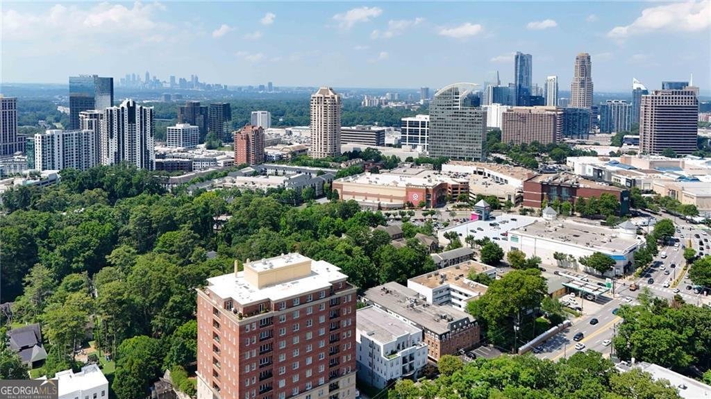 3655 Peachtree Road Atlanta - Photo 44