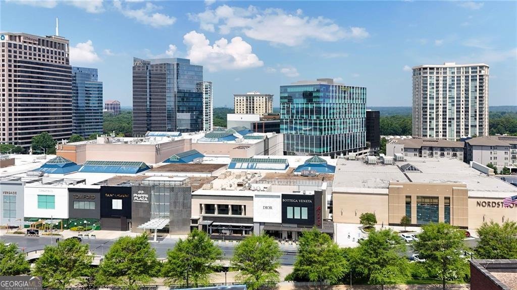 3655 Peachtree Road Atlanta - Photo 45