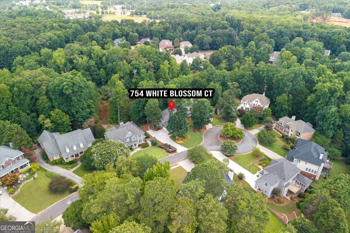 754 White Blossom Court Powder Springs - Photo 67