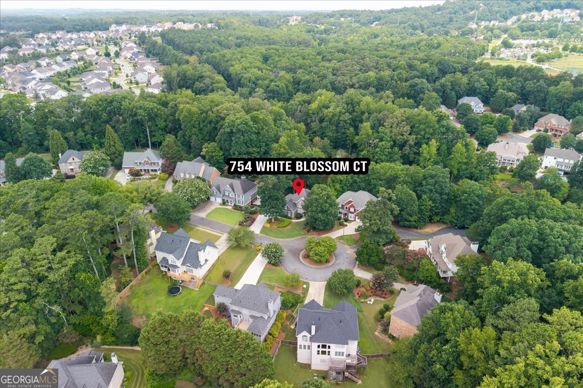 754 White Blossom Court Powder Springs - Photo 68