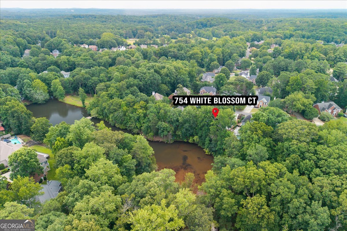 754 White Blossom Court Powder Springs - Photo 69