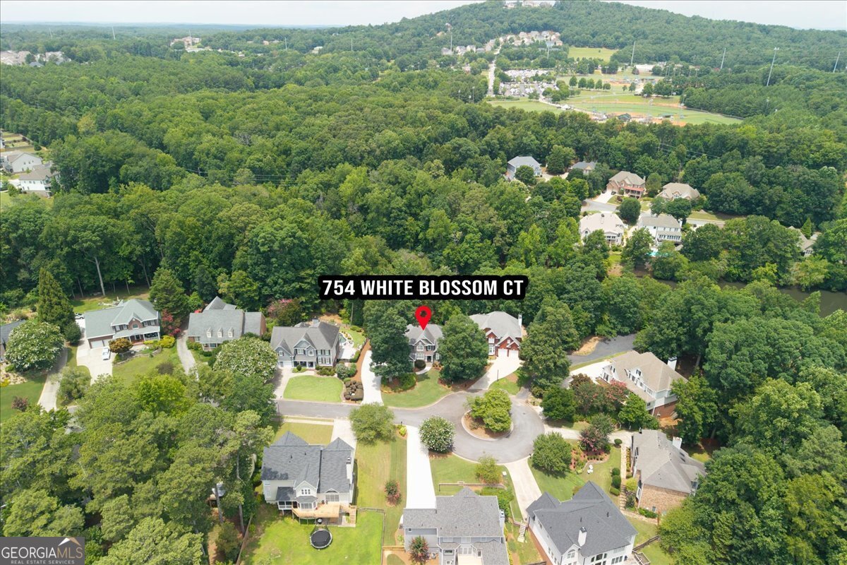754 White Blossom Court Powder Springs - Photo 73