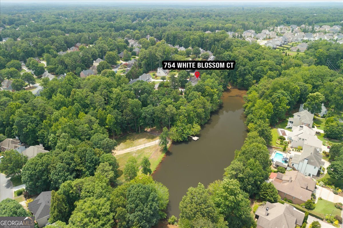 754 White Blossom Court Powder Springs - Photo 74