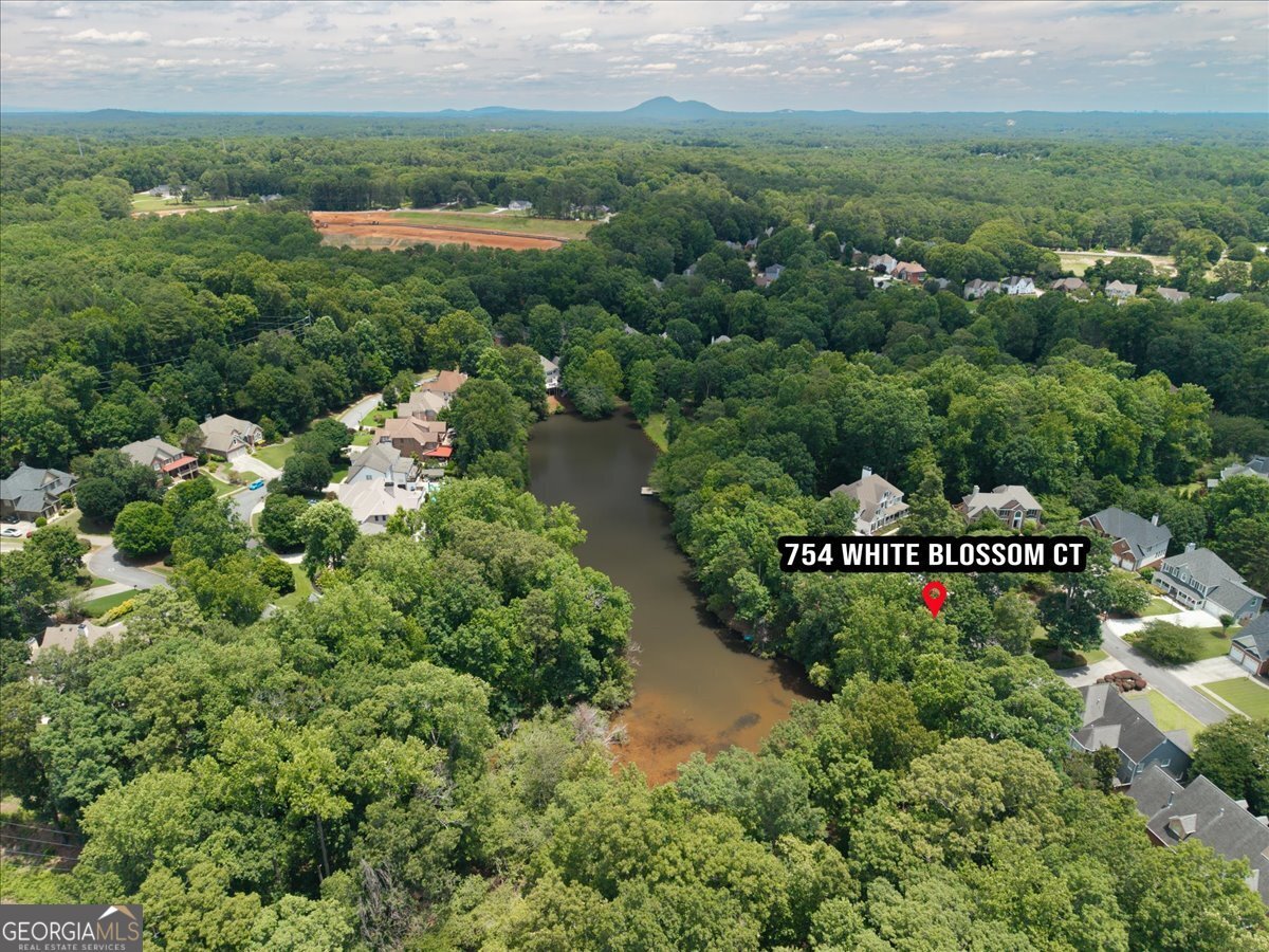 754 White Blossom Court Powder Springs - Photo 75